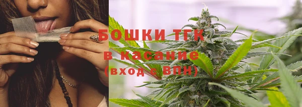 спайс Гусев