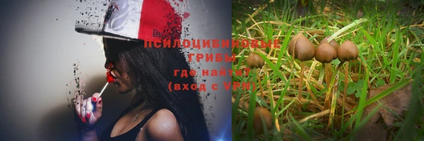 ГАЛЛЮЦИНОГЕННЫЕ ГРИБЫ Гусь-Хрустальный