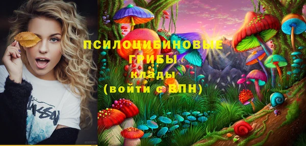 спайс Гусев
