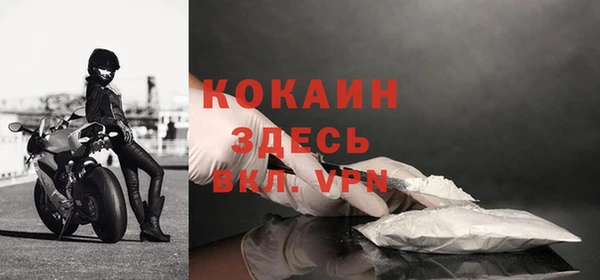 спайс Гусев