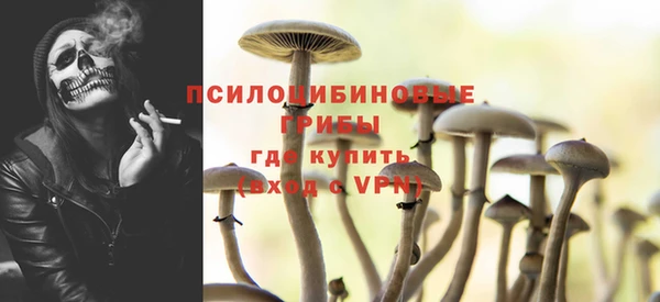 ГАЛЛЮЦИНОГЕННЫЕ ГРИБЫ Гусь-Хрустальный