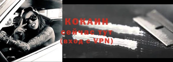 спайс Гусев