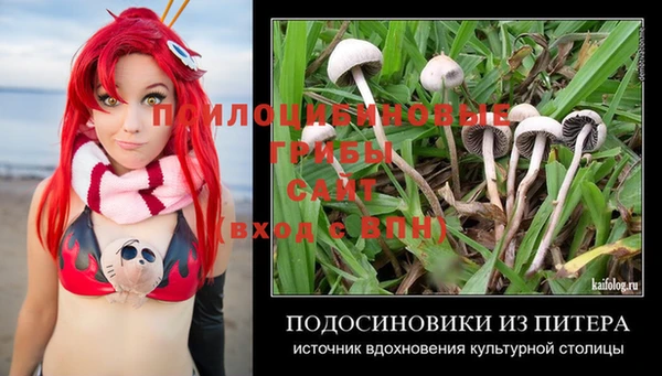 ГАЛЛЮЦИНОГЕННЫЕ ГРИБЫ Гусь-Хрустальный