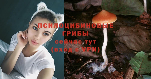 дмт Россошь
