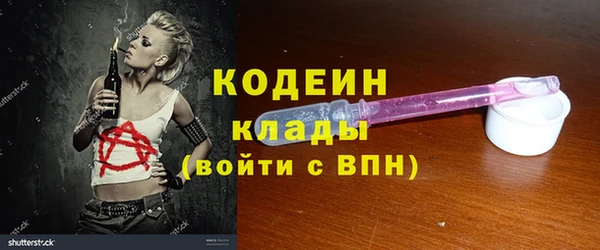 ГАЛЛЮЦИНОГЕННЫЕ ГРИБЫ Гусь-Хрустальный